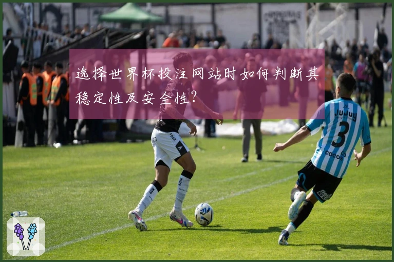 选择世界杯投注网站时如何判断其稳定性及安全性？