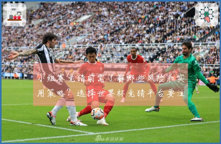 小组赛竞猜前需了解哪些风险和实用策略？选择世界杯竞猜平台要注意什么？